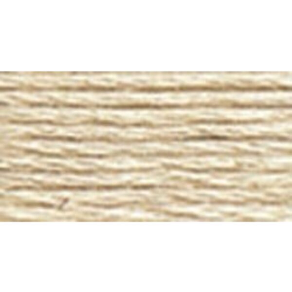 Dmc 6-Strand Embroidery Cotton 8.7yd-Light Beige Grey 117-822